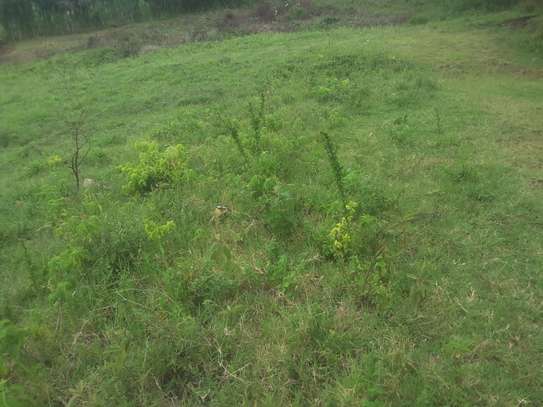 Beautiful one eighth plots in Ngong image 4