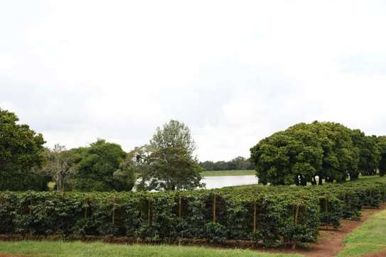 Land at Juja - Gatundu Road image 8