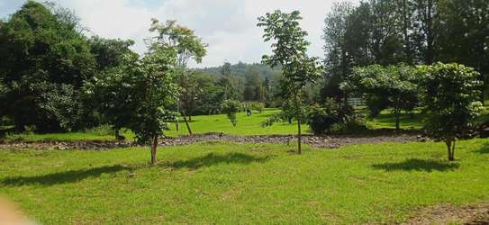 Prime Residential plot for sale in Ngong, Tulivu Estate image 4