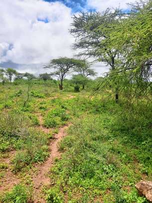 40 Acres Agricultural Land Is For Sale In Masinga Kithyoko image 2