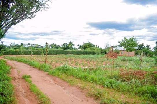 100 by 100 ft plot in Omega Estate Kibwezi Makueni County image 10