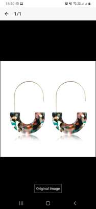 Acrylic earrings image 6
