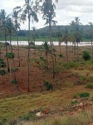218 Acres Touching Galana River In Kilifi Is For Sale image 4