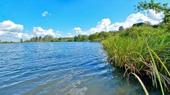 Residential Land in Tatu City image 3