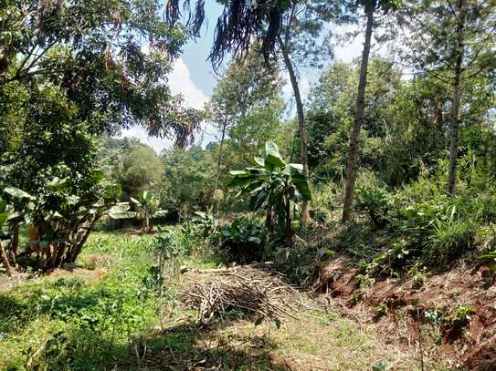 Residential Land at Fronting Limuru Road image 20