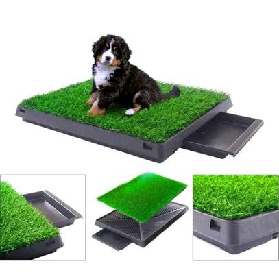 Pet Potty Trainer) Dog relief system image 4