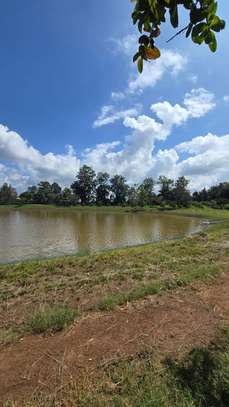 Prime residential quarter acre for sale in Kiambu road image 5