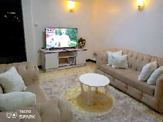 Fully furnished one bedroom apartment image 5