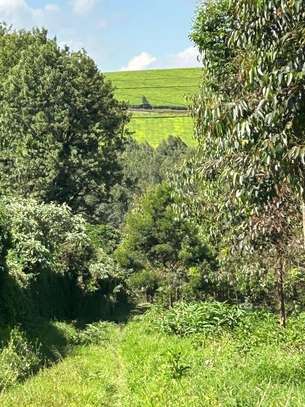 25 ac Land at Riara Ridge Road image 3