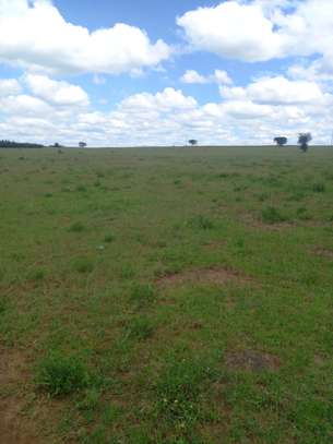 2.5 ac Commercial Land at Pipeline image 5