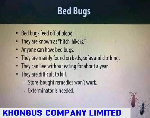Fumigation and Pest control Services image 1