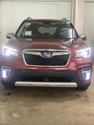 Subaru Forester E-boxer Redwine 2018 Sunroof image 2