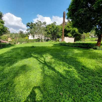 0.6 ac Residential Land at Peponi Gardens image 18