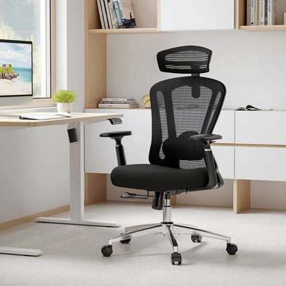 Office Chair: Farini T23 Ergonomic Chair For Offices image 1