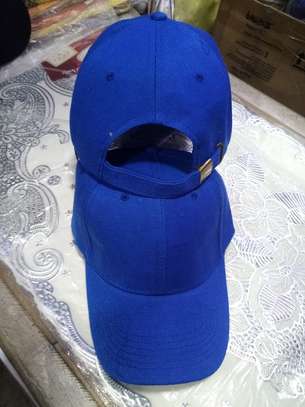 CAPS image 1