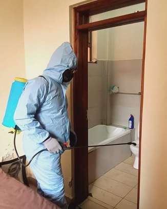 Pest Control and fumigation Services Ruiru image 3