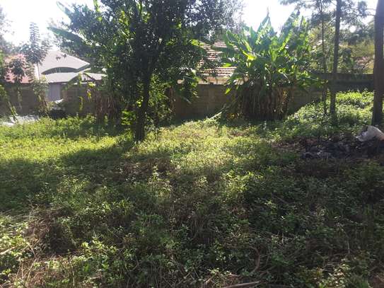 Stunning One Eighth Plots in Ongata Rongai image 12