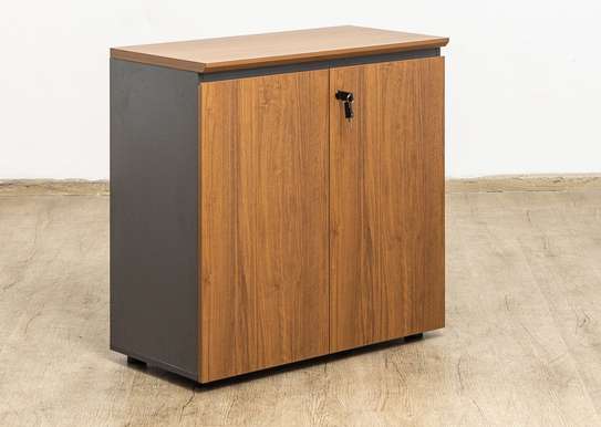 Wooden 2 Door Home Office Storage Cabinet image 5