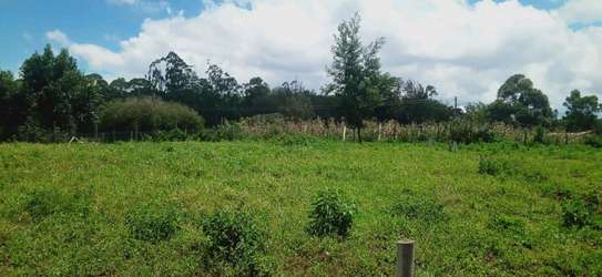 Prime residential plot for sale in Kikuyu Kamangu image 6