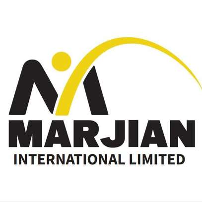 THE MARJIAN INTERNATIONAL LTD image 1