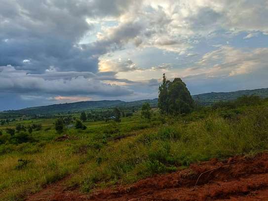 0.05 ha Land at Ndiguini image 9