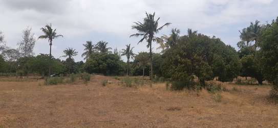 12 Acres For Sale At Kaembeni In Malindi image 1