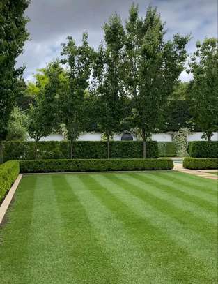 Landscaping services image 1