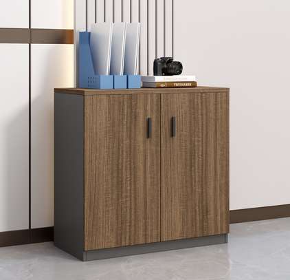 Office Documet : 2-Door Document Cabinet image 2