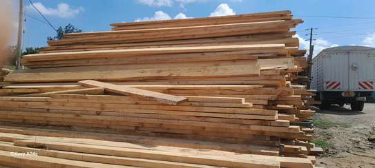 Timber for sale image 1