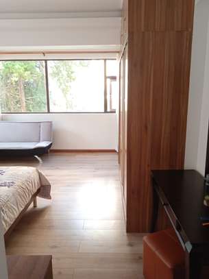 3 Bed Apartment with En Suite at Othaya Road. image 8