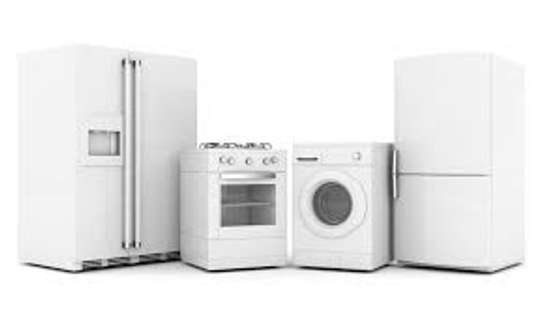 Best Fridge/Appliance Repair & Maintenance Services | emergency refrigerator repair image 13