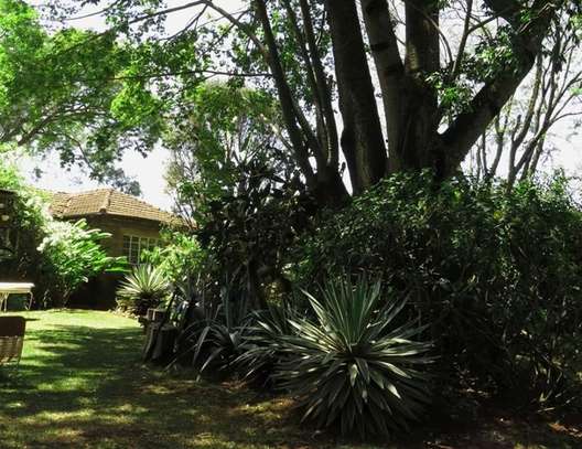 4 Bed House in Lavington image 8