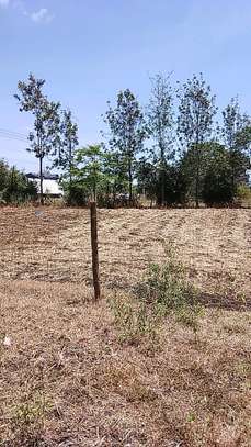 QUARTER ACRE LAND FOR SALE AT KENOL TOUCHING HIGHWAY. image 3
