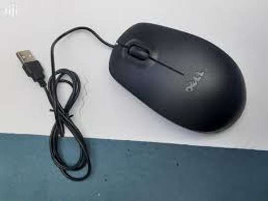 Exuk Mouse image 1