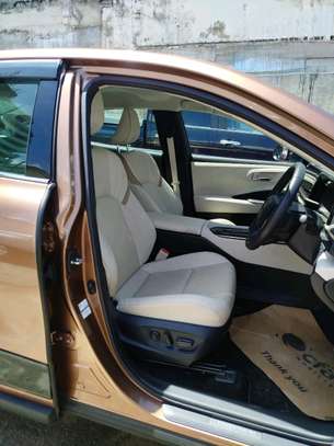 Crown new shape image 6