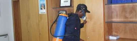 Bedbug, Pest Control Services In Nairobi. Professional & Very Affordable image 3