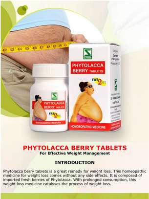 Schwabe Phytolacca Berry - Fat Burner&Tummy Trimmer image 3