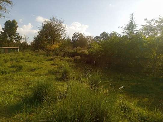 0.5 ac Land at Dagoretti Road image 7