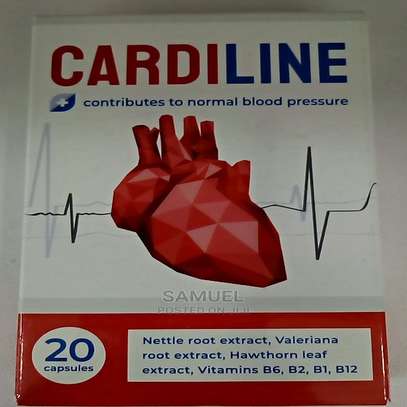 Cardiline  ​​capsules for hypertension in nairobi image 1