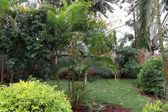 3 Bed House with En Suite in Muthaiga image 2