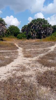 5 ac land for sale in Nyali Area image 6