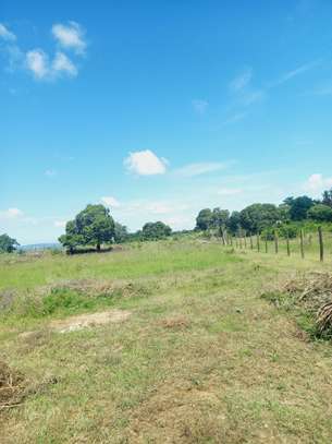 2.7 ac Residential Land in Likoni image 3