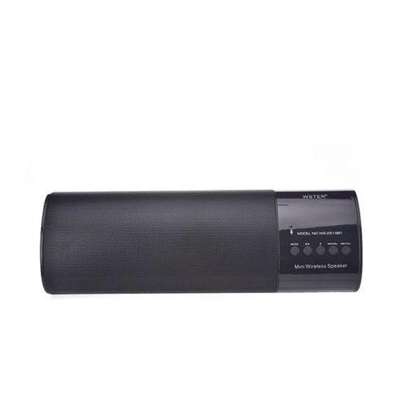 wster wireless speaker