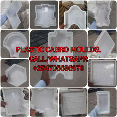 PLASTIC CABRO MOULDS FOR SALE image 1