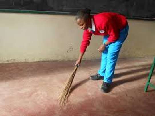 Professional cleaning services - House Managers, Cleaners, Housekeepers, Chefs/Cooks, Estate Managers, Butlers, Chauffeurs/Drivers, Tutors, Maternity Nurses, Nannies, Gardeners and Grounds Staff, Security/Close Protection, Fundis and Maintenance Staff in Nairobi. image 12