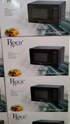 Digital Roch microwave image 1