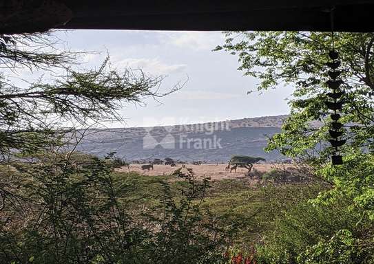 3 Bed House with Garden at Lewa image 11