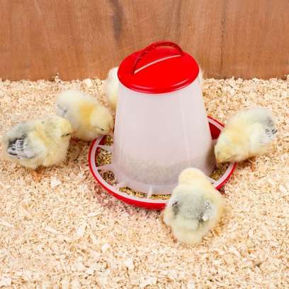 1.5 Kg Chicken Feeder with Anti-Scatter Ring image 2