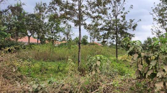 Plot For Sale - Matasia image 4