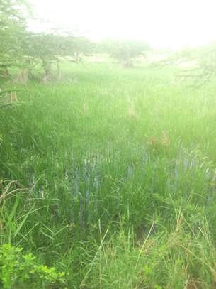 Over 500 Acres Land Available For Lease in Kiboko Makindu image 5
